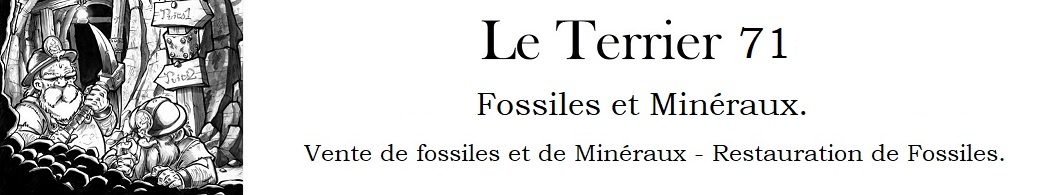 Le Terrier 71